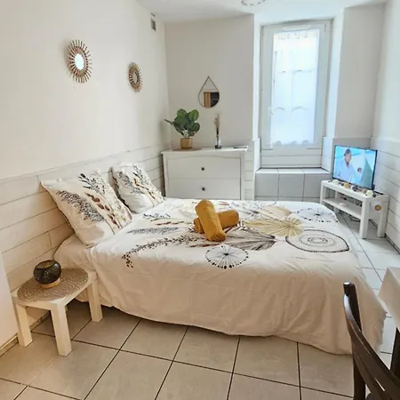 Apartamento Meuble Au Pied Du Chateau Lourdes